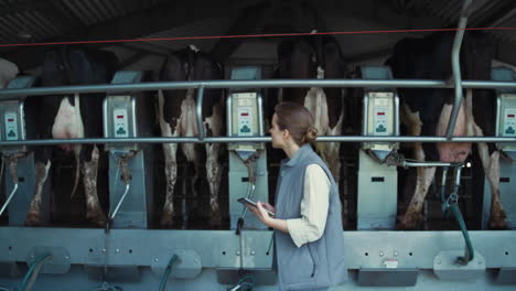 Woman-control-milking-process-at-dairy-farm.-Automatic-suction-equipment-parlour