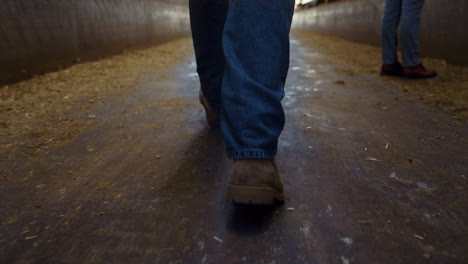 Closeup-farmer-boots-strolling-wooden-shed-aisle.-Agricultural-team-at-work.