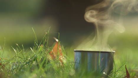 Thermos-mug-hot-tea-colling-standing-grass-closeup.-Sunbeams-shine-on-steam.