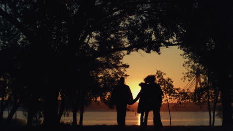 Happy-family-silhouette-walking-sunset-park-together.-Beautiful-golden-sunlight.