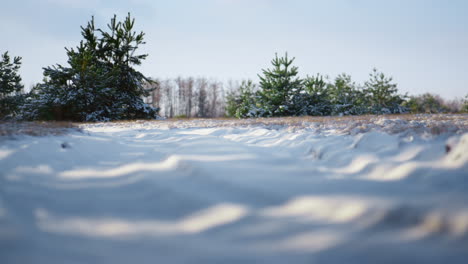 Schönheit-Gefrorene-Verschneite-Lichtung-Sonniger-Wintertag.-Weißer-Schnee-Bedeckt-Die-Waldwiese