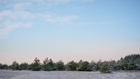 Wundervolle-Aussicht-Auf-Verschneiten-Wald-Mit-Immergrünen-Bäumen-Unter-Herrlichem-Winterblauem-Himmel.