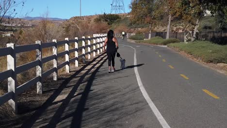 Mujer-Caminando-A-Cámara-Lenta-En-El-Camino-De-La-Bicicleta-Al-Borde-De-La-Carretera-Llevando-Al-Perro-A-Caminar