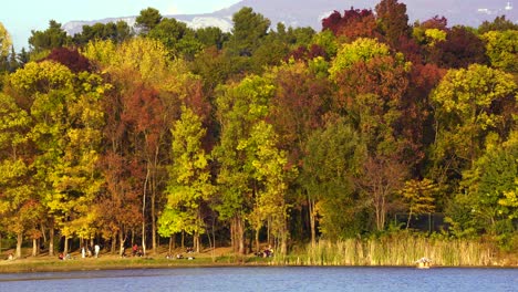 Colorful-leaves-of-park-trees-on-shore-of-calm-lake-where-people-relaxing-at-Autumn
