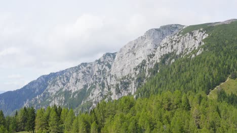 Untouched-forest-and-Alpine-peaks,-Peca-Mountain,-Slovenia