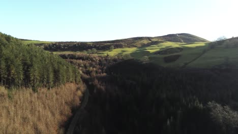 Coed-Llangwyfan-Welsh-woodland-valley-national-park-wilderness-aerial-rising-view-sunrise-countryside