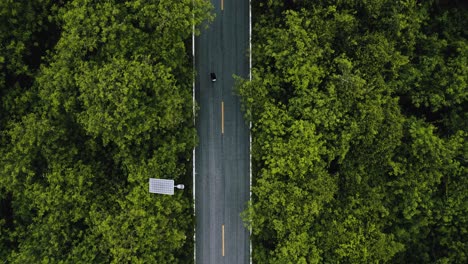 Aerial-view-of-a-person-skateboarding-on-an-empty-driveway-amongst-trees