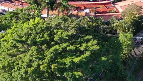 Vehículo-Que-Ingresa-Al-Hotel-Resort-De-Doble-árbol-Con-Jardines-Y-Campo-De-Golf,-Tiro-De-Revelación-Inclinado-Hacia-Arriba