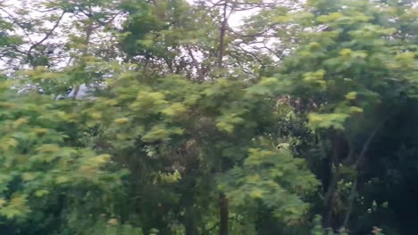 Grüne-Wälder-Außenansicht-Vom-Indischen-Express-Personenzug,-Der-Am-Abend-Auf-Der-Strecke-Fährt.-Das-Video-Wird-Am-22.-Mai-2022-Am-Bahnhof-Kamakhya-Assam-Indien-Aufgenommen