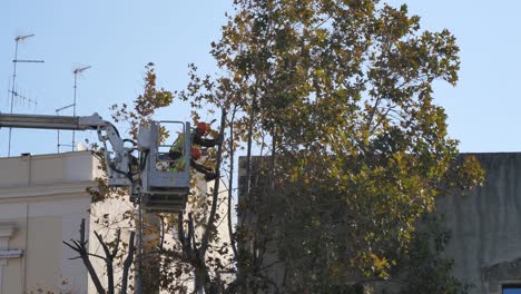 Cortando-Un-árbol-En-La-Grúa-Por-Dos-Trabajadores-Y-Motosierra-En-Italia