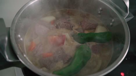 Slowly-moving-toward-steaming-meat-and-vegetable-stew-in-pot,-Closeup