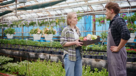 Farmer-Giving-Harvested-Vegetables-To-Colleague-In-Greenhouse