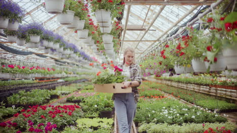 Bauer-Mit-Verschiedenen-Blumenpflanzen-Im-Gewächshaus