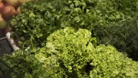 Close-Up-footage-of-the-fresh-salad-leaves.-A-male-hand-takes-greens,-salad-leaves-from-the-counter-in-a-supermarket.-Healthy