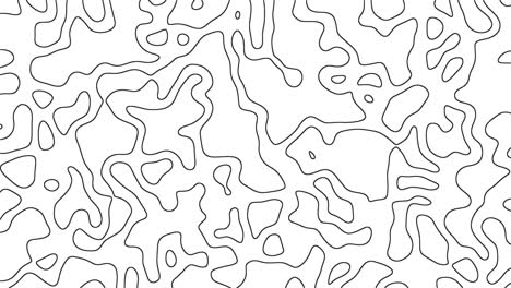 outline-topographic-contour-map-Geometric-pattern-Moving-waves-loop-animation-motion-graphics-video-transparent-background-with-alpha-channel