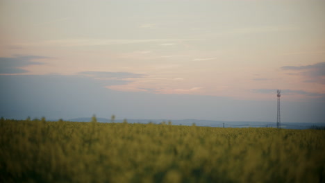 Campo-Agrícola-Contra-El-Cielo-Al-Atardecer