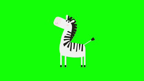 Cartoon-Zebra-Symbol-Loop-Animationsvideo,-Transparenter-Hintergrund-Mit-Alphakanal.