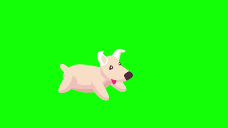 Lindo-Cachorro-Icono-Bucle-Animación-Vídeo-Fondo-Transparente-Con-Canal-Alfa