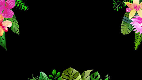 Tropical-summer-plants-Leaves,-flowers-border-frame-animation-with-a-copy-space-area-looped-animation-with-Alpha-channel