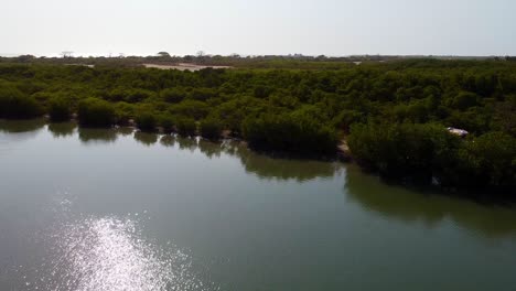 Drone-pans-cinematically-across-river-Gambia-in-Kartong,-reveals-fishermen-on-boat-speeding