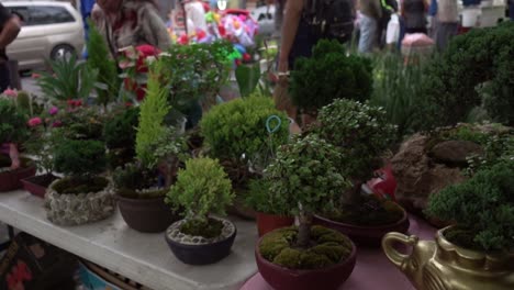 Slow-motion-shot-of-tourists-examining-the-small-planted-pots-for-sale-at-a-market