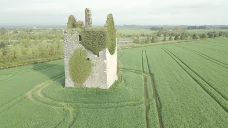 Verlassenes-Grotmacellis-Schloss,-Bedeckt-Mit-Schlingpflanzen,-Garryard,-Irland
