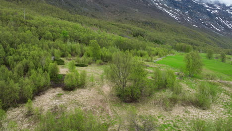 Flying-Over-Green-Forest-And-Snow-Mountains-Near-Abandoned-German-Bunker-In-Tromso,-Northern-Norway