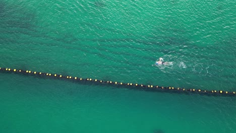 Cámara-Lenta-De-Una-Persona-Aislada-Nadando-Dentro-De-Una-Red-Protectora-De-Tiburones,-Playa-De-Coogee-En-Australia