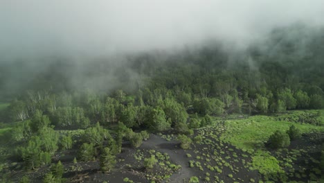 Ungewöhnliche-Landschaft-Mit-Niedrigen-Wolken,-Weg-Durch-Lavahügel-Mit-üppiger-Vegetation,-Natürlicher-Kontrast-Zwischen-Grau-Und-Grün,-Dunkle-Gipfel