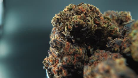 A-macro-cinematic-detailed-crispy-shot-of-a-cannabis-plant,-orange-hybrid-strains,-Indica-and-sativa-,-purple-marijuana-flower,-on-a-rotating-stand,-slow-motion,-4K,-professional-studio-lighting