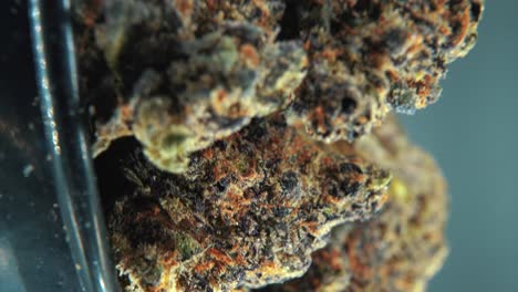 A-vertical-macro-cinematic-detailed-shot-of-a-cannabis-plant,-hybrid-strains,-Indica-and-sativa-,marijuana-flower,-on-a-360-rotating-stand,-black-shiny-bawl,-slow-motion,-4K-video,-studio-lighting