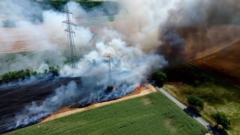 Grain-Field-Burning-And-Destroying-Ripe-Harvest---aerial-drone-shot