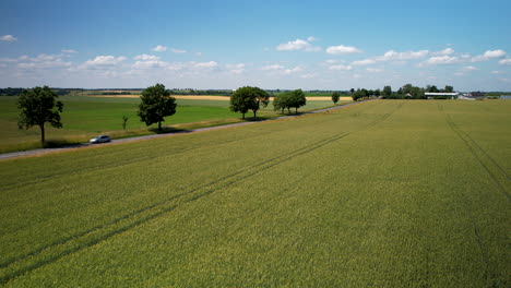 Cultivated-Wheat-Fields-by-Countryside-Road-with-Cars-Traveling-in-Summertime