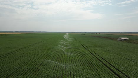 Präzisionslandwirtschaft:-Automatisches-Bewässerungssystem-Auf-Einer-Kulturpflanze-In-Rumänien