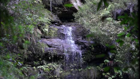 Small-trickling-waterfall-in-the-Blue-Mountains-national-park,-Australia