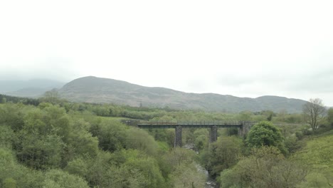 Widerspenstige-Büsche-Bedecken-Die-Eisenbahnbrücke-Nach-Kerry-County,-Irland