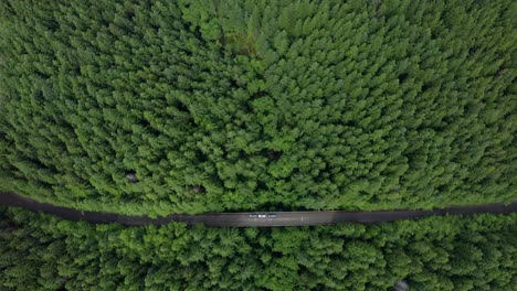 Aerial-panning-up-from-vehicles-on-forested-road-to-large-lake-over-trees