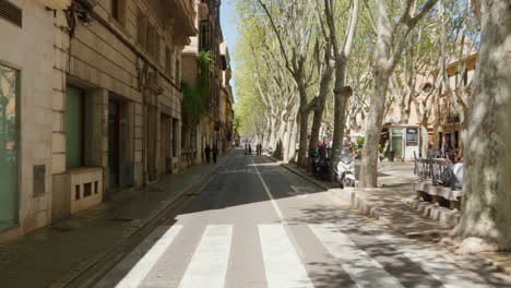 A-sunny-street-scene-in-Palma-de-Mallorca,-featuring-a-zebra-crossing-under-the-clear-sky
