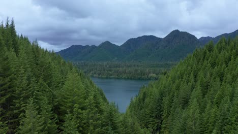 Aerial-over-picturesque-PNW-evergreen-forest-with-lake-and-mountains-behind