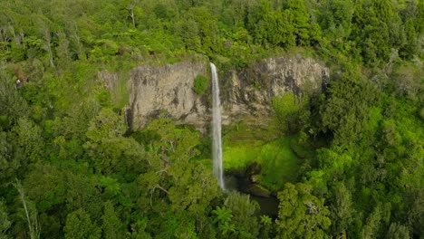View-of-high-waterfall-in-green-forest-of-Waireinga-nature-reserve,-aerial