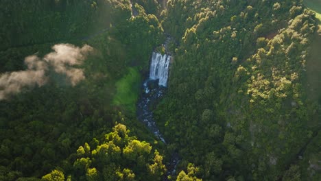 Marokopa-Waterfall-in-green-forest-landscape-with-morning-sunlight,-aerial