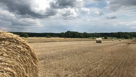 Witness-the-beauty-of-freshly-rolled-straw-bales-in-the-field