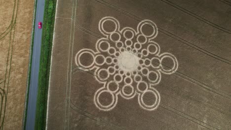 Aerial-view-Beauworth-2023-crop-circle-pattern-pressed-into-Hampshire-wheat-field-blowing-texture-in-high-wind