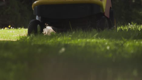 Ride-on-Lawnmower-cutting-grass-Low-angle-shot