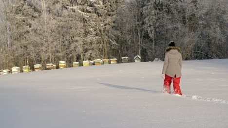 Foto-De-Una-Mujer-Caminando-A-Través-De-La-Nieve-Alta-Hacia-Una-Caja-De-Colmena-De-Madera-En-Un-Frío-Día-De-Invierno