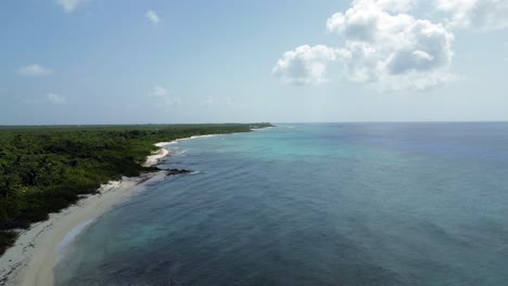 Drone-footage-rising-above-a-turquoise-ocean-and-coral-reef-in-the-Caribbean-with-native-forest-and-palm-trees-stretching-along-the-beach-into-the-horizon