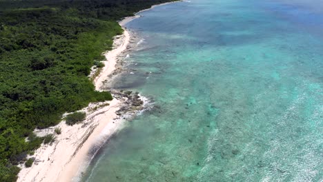 Drone-footage-rising-up-and-tilting-down-towards-a-turquoise-ocean-and-coral-reef-in-the-Caribbean-with-native-forest-and-palm-trees-stretching-along-the-beach-as-waves-lap-the-shore