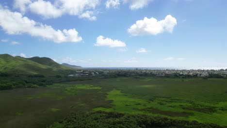 Hawaiianisches-Feld-Und-Küste-Mit-Vorbeiziehender-Drohne