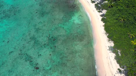 Drone-footage-flying-above-a-beach-fringed-with-palm-trees-as-waves-in-a-beautiful-turquoise-ocean-break-over-a-coral-reef-in-the-Cayman-Islands-in-the-Caribbean