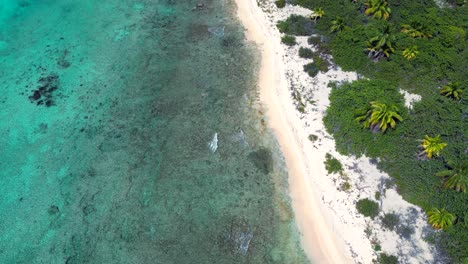 Drone-footage-flying-along-a-beach-fringed-with-palm-trees-while-slowly-turning-out-to-sea-as-waves-in-a-beautiful-turquoise-ocean-break-over-a-coral-reef-in-the-Cayman-Islands-in-the-Caribbean